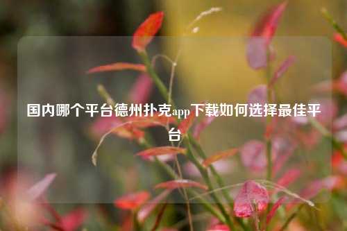 国内哪个平台德州扑克app下载如何选择最佳平台