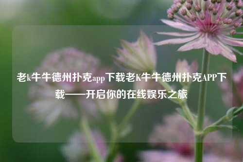 老k牛牛德州扑克app下载老K牛牛德州扑克APP下载——开启你的在线娱乐之旅
