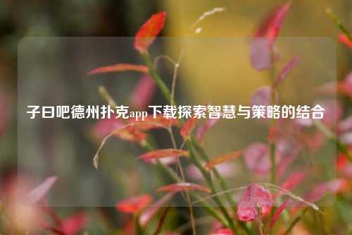 子曰吧德州扑克app下载探索智慧与策略的结合