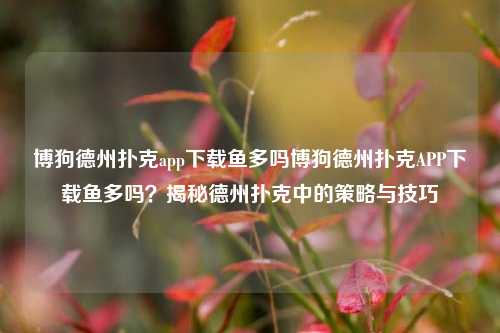 博狗德州扑克app下载鱼多吗博狗德州扑克APP下载鱼多吗？揭秘德州扑克中的策略与技巧