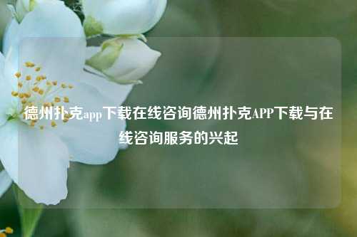 德州扑克app下载在线咨询德州扑克APP下载与在线咨询服务的兴起