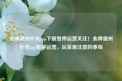 金牌德州扑克app下载暂停运营关注！金牌德州扑克app暂停运营，玩家需注意的事项
