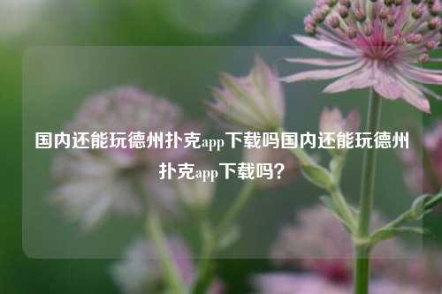 国内还能玩德州扑克app下载吗国内还能玩德州扑克app下载吗？