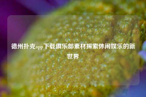 德州扑克app下载俱乐部素材探索休闲娱乐的新世界