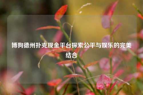 博狗德州扑克现金平台探索公平与娱乐的完美结合