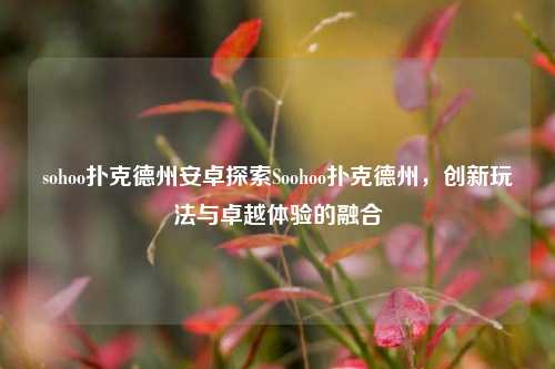 sohoo扑克德州安卓探索Soohoo扑克德州，创新玩法与卓越体验的融合