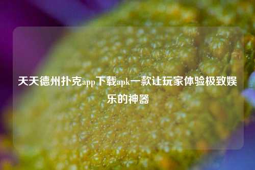 天天德州扑克app下载apk一款让玩家体验极致娱乐的神器