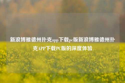 新浪博雅德州扑克app下载pc版新浪博雅德州扑克APP下载PC版的深度体验