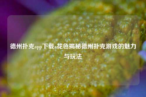 德州扑克app下载a花色揭秘德州扑克游戏的魅力与玩法