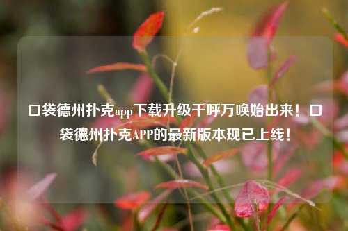 口袋德州扑克app下载升级千呼万唤始出来！口袋德州扑克APP的最新版本现已上线！
