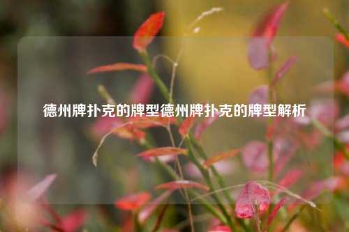 德州牌扑克的牌型德州牌扑克的牌型解析