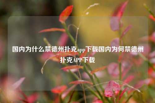 国内为什么禁德州扑克app下载国内为何禁德州扑克APP下载