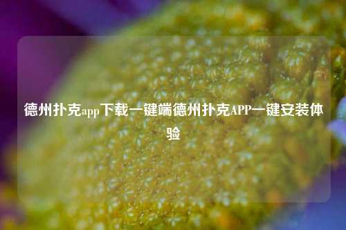 德州扑克app下载一键端德州扑克APP一键安装体验