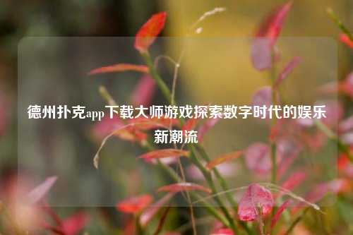 德州扑克app下载大师游戏探索数字时代的娱乐新潮流