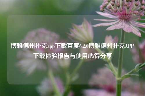 博雅德州扑克app下载百度6.2.0博雅德州扑克APP下载体验报告与使用心得分享