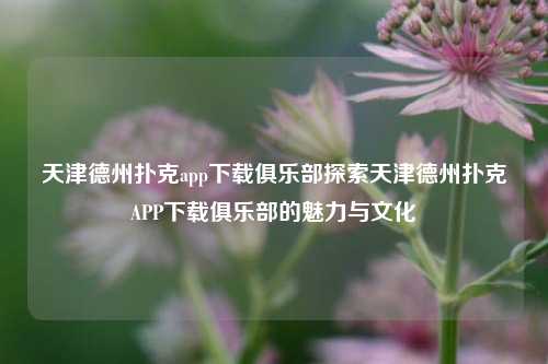 天津德州扑克app下载俱乐部探索天津德州扑克APP下载俱乐部的魅力与文化