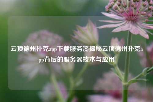 云顶德州扑克app下载服务器揭秘云顶德州扑克app背后的服务器技术与应用