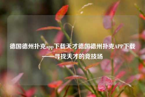 德国德州扑克app下载天才德国德州扑克APP下载——寻找天才的竞技场