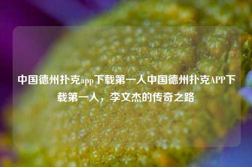 中国德州扑克app下载第一人中国德州扑克APP下载第一人，李文杰的传奇之路