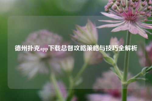 德州扑克app下载总督攻略策略与技巧全解析