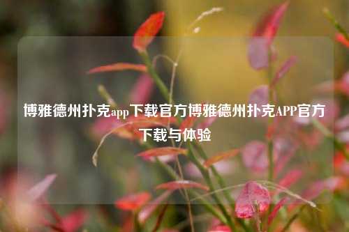 博雅德州扑克app下载官方博雅德州扑克APP官方下载与体验