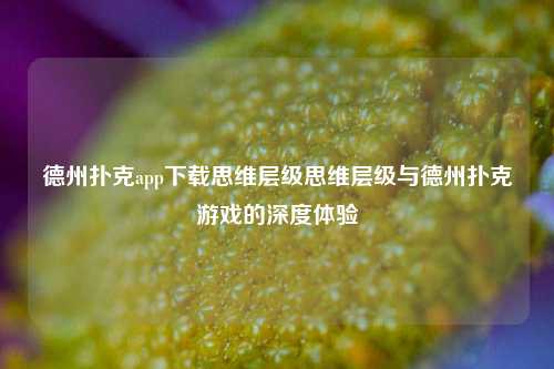 德州扑克app下载思维层级思维层级与德州扑克游戏的深度体验