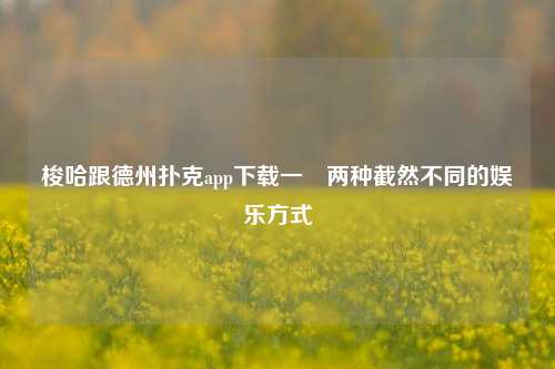 梭哈跟德州扑克app下载一樣两种截然不同的娱乐方式