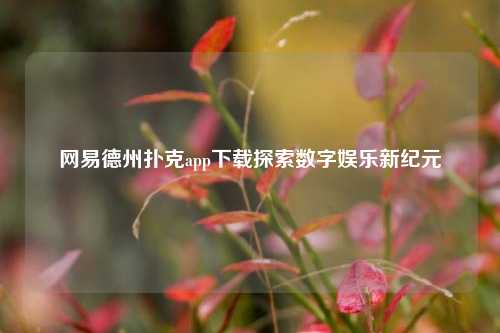 网易德州扑克app下载探索数字娱乐新纪元