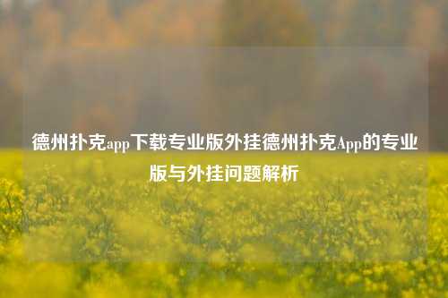 德州扑克app下载专业版外挂德州扑克App的专业版与外挂问题解析