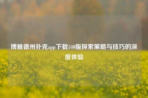 博雅德州扑克app下载540版探索策略与技巧的深度体验