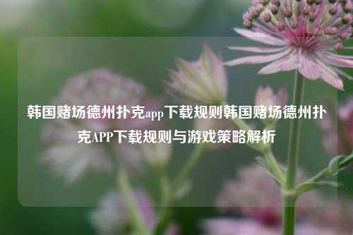 韩国赌场德州扑克app下载规则韩国赌场德州扑克APP下载规则与游戏策略解析