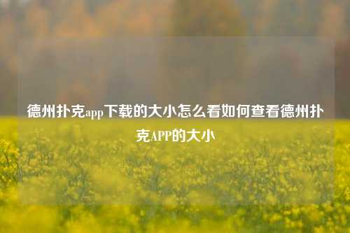 德州扑克app下载的大小怎么看如何查看德州扑克APP的大小