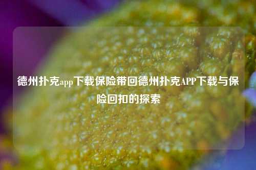 德州扑克app下载保险带回德州扑克APP下载与保险回扣的探索