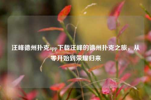汪峰德州扑克app下载汪峰的德州扑克之旅，从零开始到荣耀归来