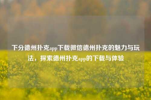 下分德州扑克app下载微信德州扑克的魅力与玩法，探索德州扑克app的下载与体验