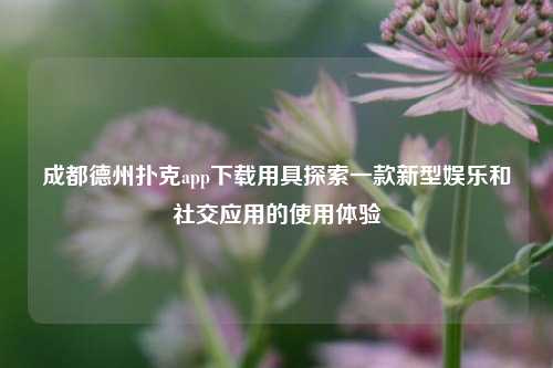 成都德州扑克app下载用具探索一款新型娱乐和社交应用的使用体验