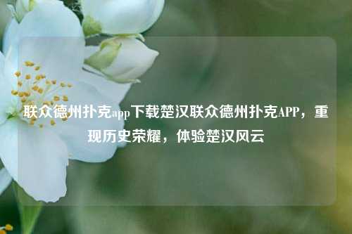 联众德州扑克app下载楚汉联众德州扑克APP，重现历史荣耀，体验楚汉风云