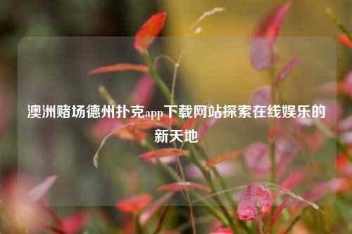 澳洲赌场德州扑克app下载网站探索在线娱乐的新天地