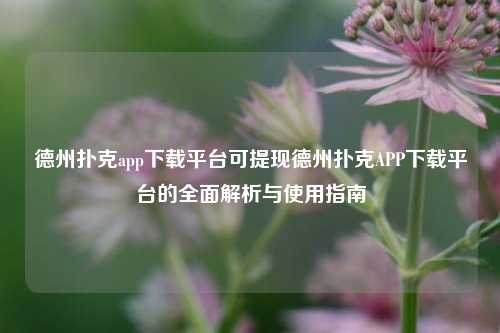 德州扑克app下载平台可提现德州扑克APP下载平台的全面解析与使用指南