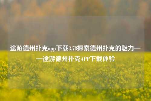 途游德州扑克app下载3.78探索德州扑克的魅力——途游德州扑克APP下载体验