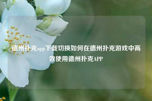 德州扑克app下载切换如何在德州扑克游戏中高效使用德州扑克APP