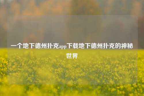 一个地下德州扑克app下载地下德州扑克的神秘世界