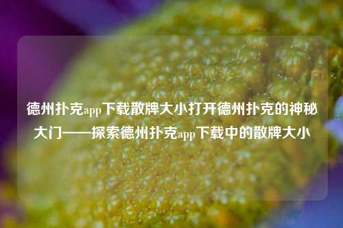 德州扑克app下载散牌大小打开德州扑克的神秘大门——探索德州扑克app下载中的散牌大小