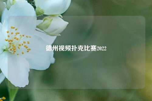 德州视频扑克比赛2022