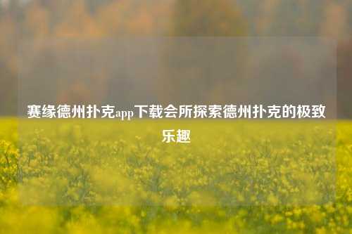 赛缘德州扑克app下载会所探索德州扑克的极致乐趣