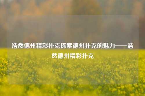 浩然德州精彩扑克探索德州扑克的魅力——浩然德州精彩扑克