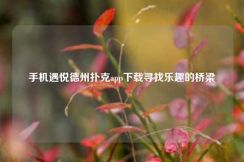 手机遇悦德州扑克app下载寻找乐趣的桥梁