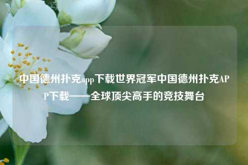 中国德州扑克app下载世界冠军中国德州扑克APP下载——全球顶尖高手的竞技舞台