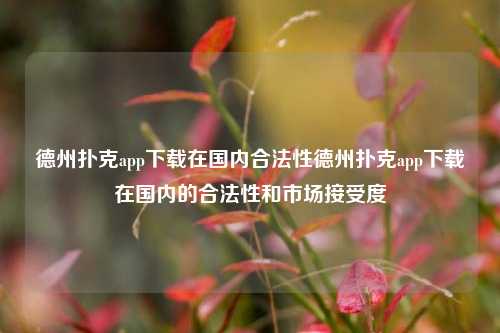 德州扑克app下载在国内合法性德州扑克app下载在国内的合法性和市场接受度