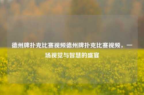 德州牌扑克比赛视频德州牌扑克比赛视频，一场视觉与智慧的盛宴